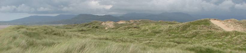 Harlech Sand Dunes